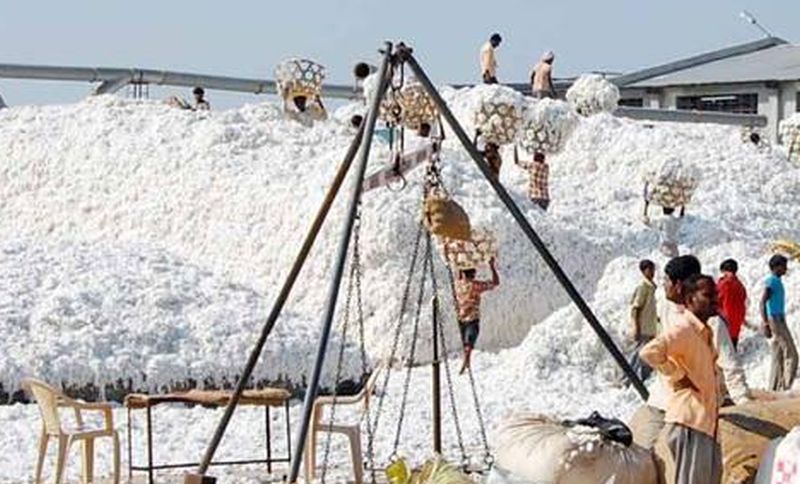 Decline in cotton production, price at Rs 6,000 | कापसाचे भाव सहा हजार रुपयांवर