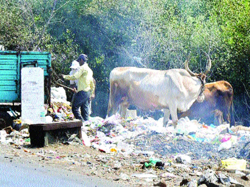 In Raigad district, waste of garbage, bad people suffer | रायगड जिल्ह्यात कचऱ्याचा भस्मासुर, दुर्गंधीने नागरिक त्रस्त
