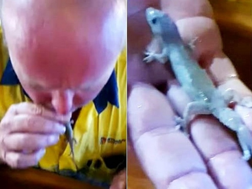 Viral Video : Australian hero saved a lizard that drowned in his beer | अरे बाप रे! बीअरमध्ये पडलेल्या पालीला तोंडाने श्वास देऊन त्याने वाचवला तिचा जीव, व्हिडीओ व्हायरल!