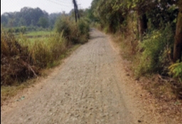20 crore in the air for repair of roads in villages | गावपाड्यांतील रस्त्यांच्या डागडुजीसाठी हवेत 20 कोटी