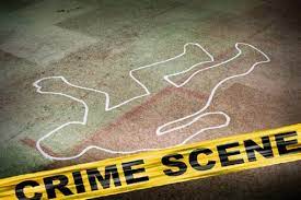 Shocking incident in Pune Son and father murdered in Lonikanda | Pune Crime: पुण्यातील धक्कादायक घटना; लोणीकंदमध्ये मुलगा व वडिलांचा खून
