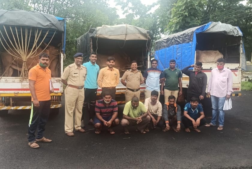 Three carts carrying animals caught at Golwali | गोळवली येथे पकडल्या जनावरे घेऊन जाणाऱ्या तीन गाड्या