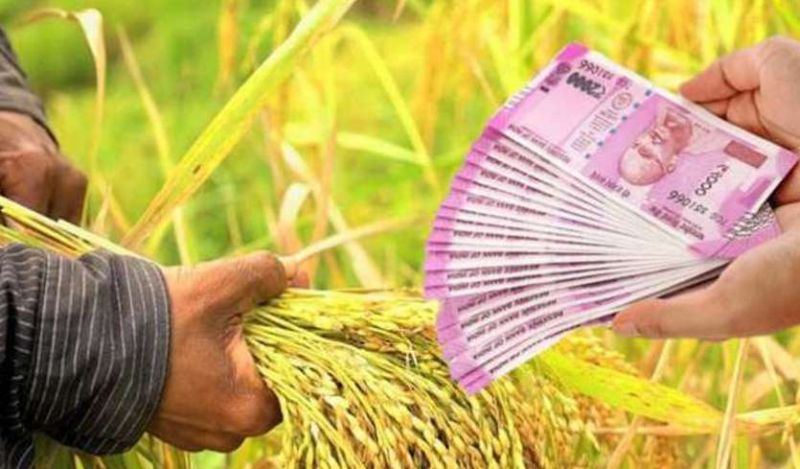 Crop loans distributed to 81,000 farmers in Akola district! | अकोला जिल्ह्यात ८१ हजार शेतकऱ्यांना पीक कर्जाचे वाटप!