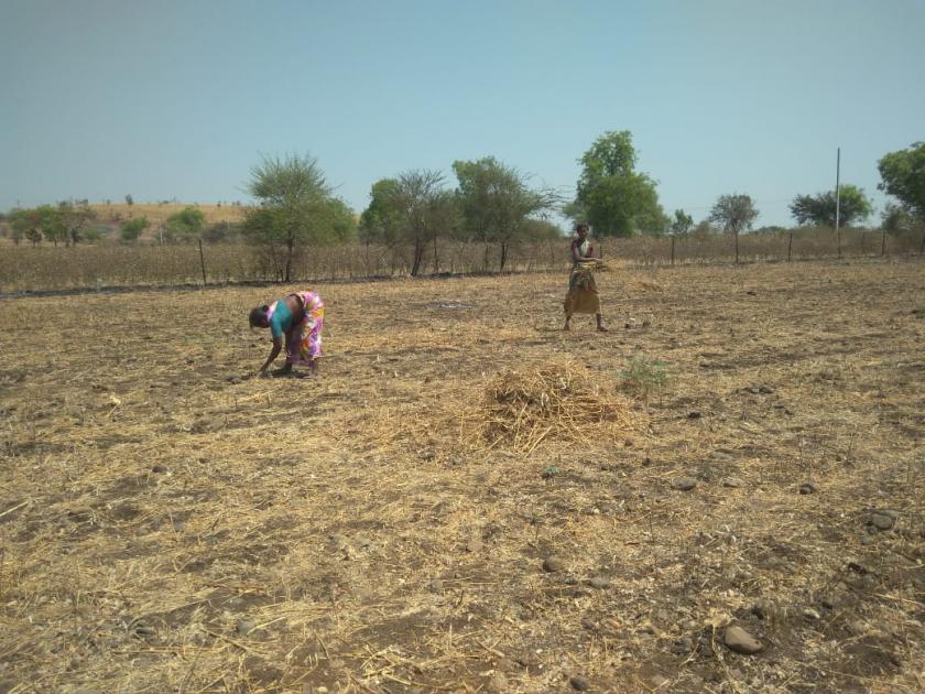 Farmers have to take help for the cultivation due to lack of laborers | मजुरांअभावी मशागतीसाठी शेतकऱ्यांना घरच्या मंडळीचा आधार