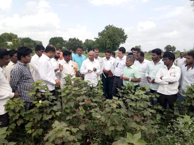 Divisional Commissioner Kendrekar conducted crop damage inspection in Beed district | विभागीय आयुक्त केंद्रेकर यांनी केली बीड जिल्ह्यातील पिक नुकसानीची पाहणी 