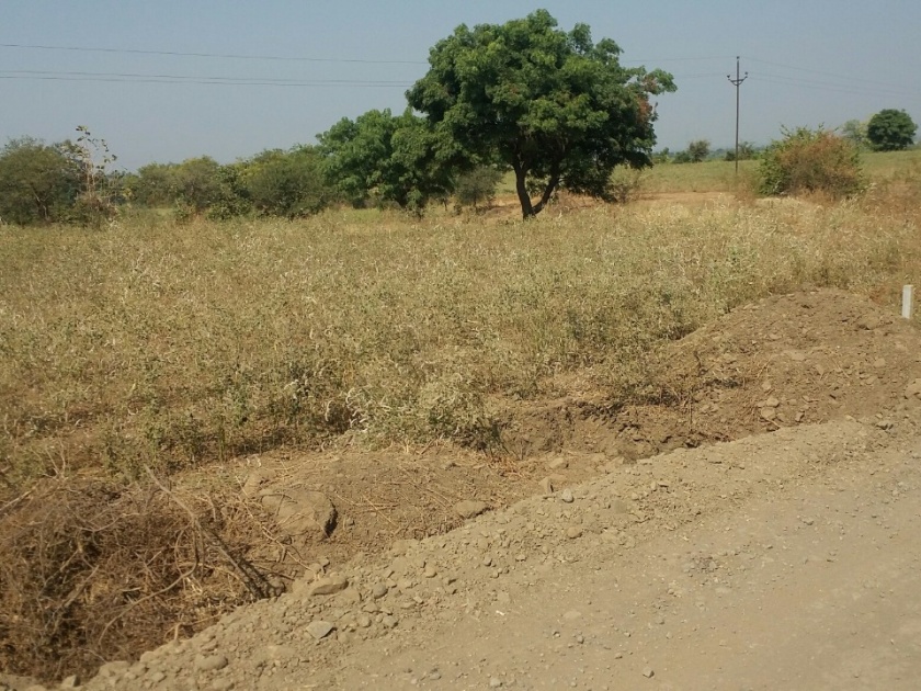 Crop damage due to dust in the work of National Highway | राष्ट्रीय महामार्गाच्या कामातील धुळीमुळे पिकांचे नुकसान