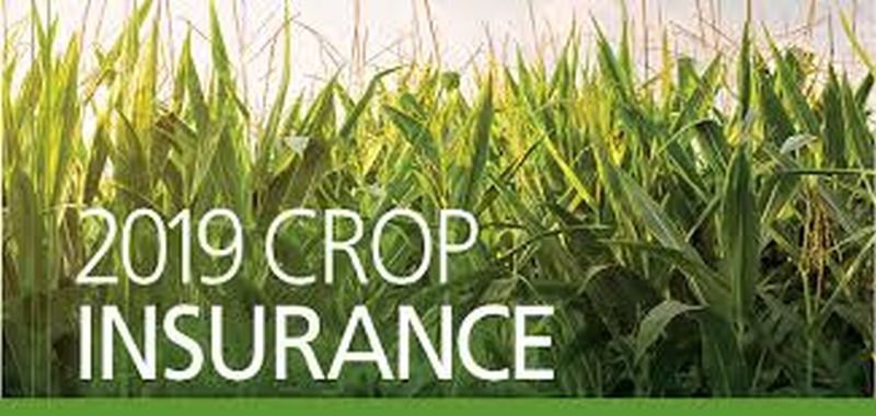Prime Minister's crop Insurance Scheme; 682 crore grant for kharip season! | प्रधानमंत्री पीक विमा योजना; खरीप हंगामासाठी ६८२ कोटींचे अनुदान!