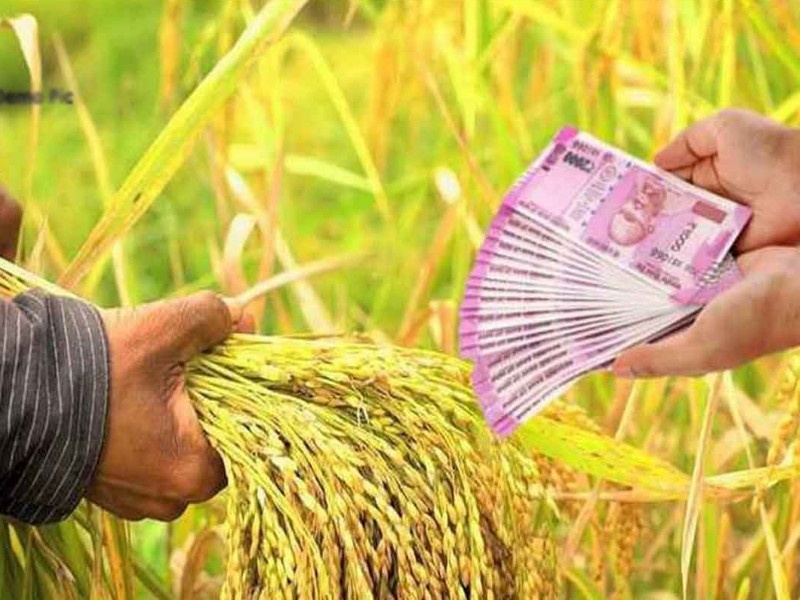 Distribution of kharif crop loan of Rs. 939 crore from District Bank till date | जिल्हा बँकेकडून आत्तापर्यंत ९३९ कोटीचे खरीप पीक कर्ज वाटप; उद्दिष्टाच्या ५७ टक्के कर्ज वाटप पूर्ण