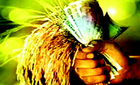 'Target' of 1398 Crore crop loan allocation | खरिपात १३९८ कोटी पीक कर्ज वाटपाचे ‘टार्गेट’!