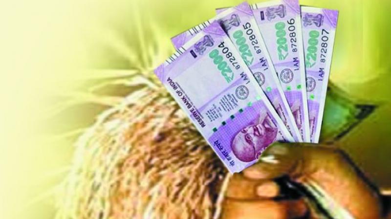 Bank not alloted Rabi crop loan! | रब्बी पीक कर्ज वाटपातही बँकांची कुचराई !