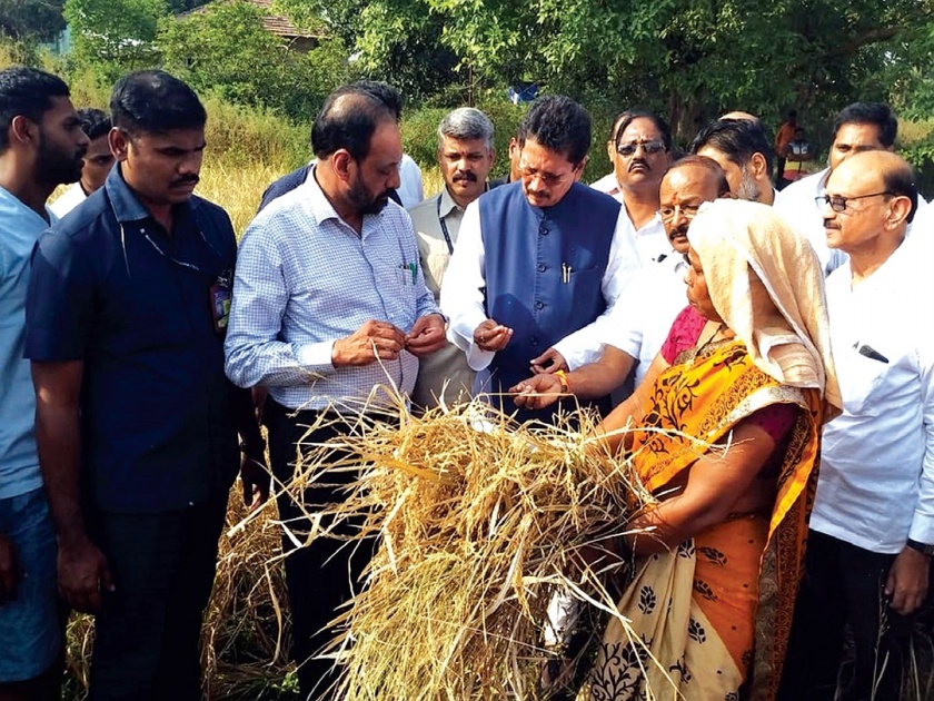 Farmers in Malanggarh area will get compensation | मलंगगड परिसरातील शेतकऱ्यांना नुकसानभरपाई मिळणार