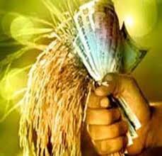 Farmers exposed Crop insurance company's 50 lakhs rs cheating | पिक विमा कंपनीने मारला ५० लाखाचा डल्ला; शेतकऱ्यांनी पर्दाफाश करताच म्हणे खात्यावर टाकू 