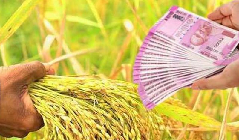 Term 15 days; 41,000 farmers did not get crop loan! | मुदत १५ दिवसांवर; ४१ हजार शेतकऱ्यांना मिळाले नाही पीक कर्ज!