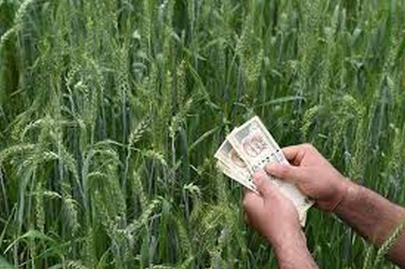 Crop loan to only 41 thousand farmers in Akola district! | अकोला जिल्ह्यात केवळ ४१ हजार शेतकऱ्यांना पीक कर्ज!
