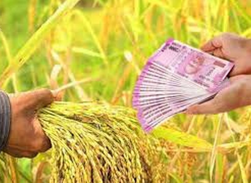 Distribution of crop loans to 2285 farmers in a month! | महिनाभरात २२८५ शेतकऱ्यांना पीक कर्जाचे वाटप!