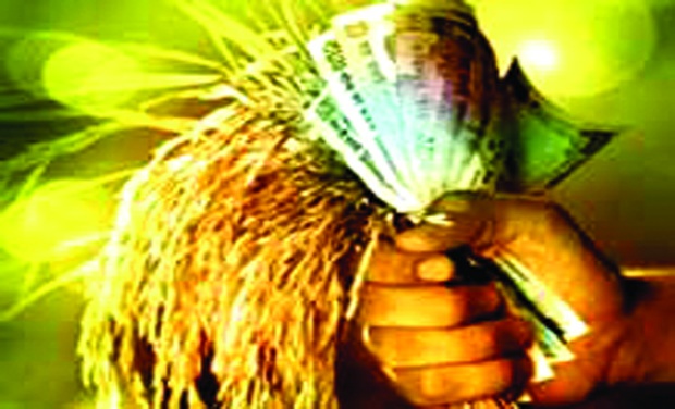 Four percent crop distribution in Buldhana district | बुलडाणा जिल्ह्यात चार टक्के पीककर्जाचे वाटप