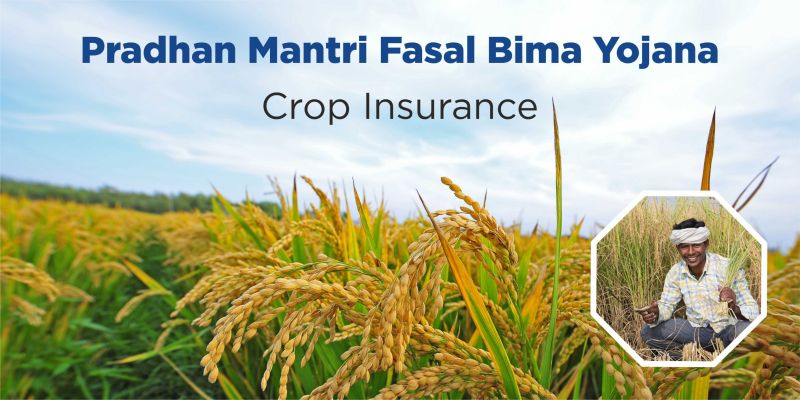 Crop insurance portal hang; Millions of farmer will deprived | पीक विम्याचे पोर्टल झाले हँग; लाखो शेतकरी राहणार वंचित