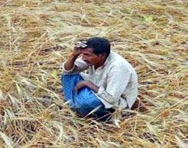  Kharif sowing comes near; But not got crop insurance! | खरीप पेरणी तोंडावर; पण मिळाला नाही पीक विमा !
