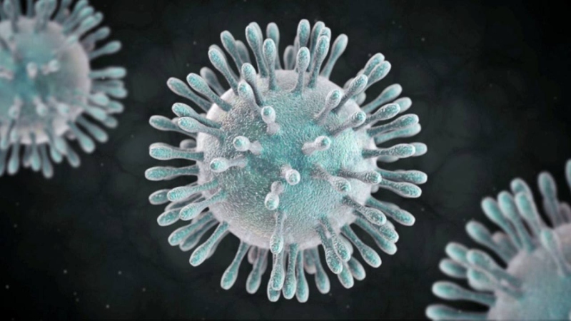 Nine decades of history of the corona virus | दृष्टिकोन - कोरोना विषाणूचा इतिहास नऊ दशकांचा