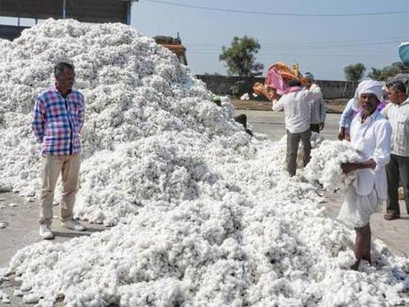 Crop sowing obstacles for cotton registration | कापूस नोंदणीसाठी पीक पेऱ्याचा अडसर