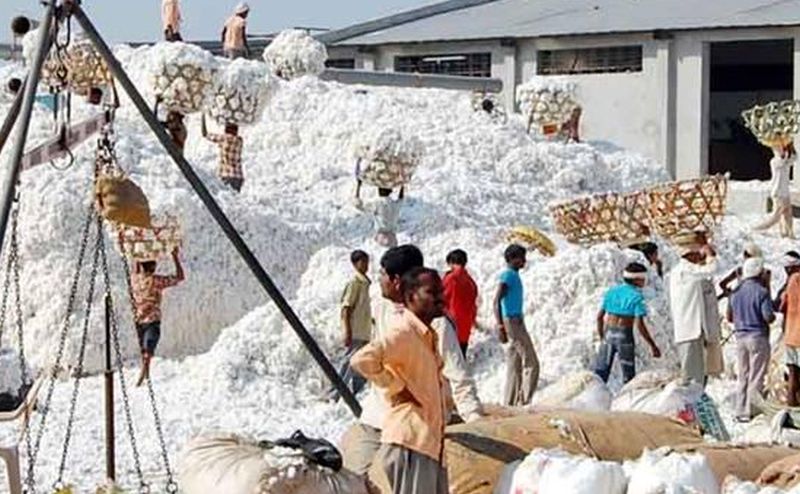 Cotton from other district sell in Washim district | परजिल्ह्यातील कापूस वाशिम जिल्ह्यात !