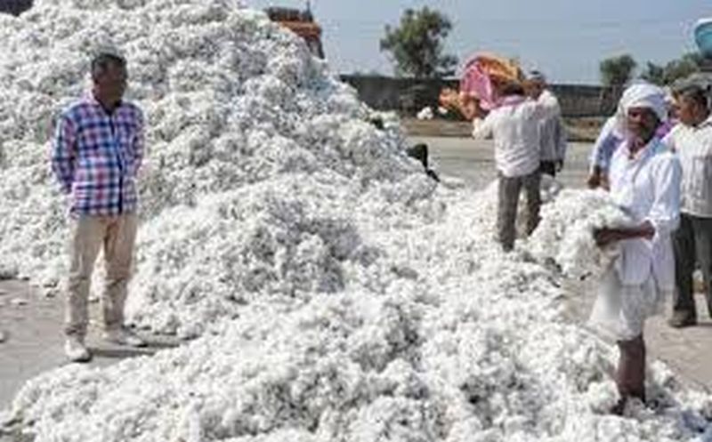 Registration for sale of cotton before October | कापूस विक्रीसाठी ऑक्टोबरपूर्वीच नोंदणी