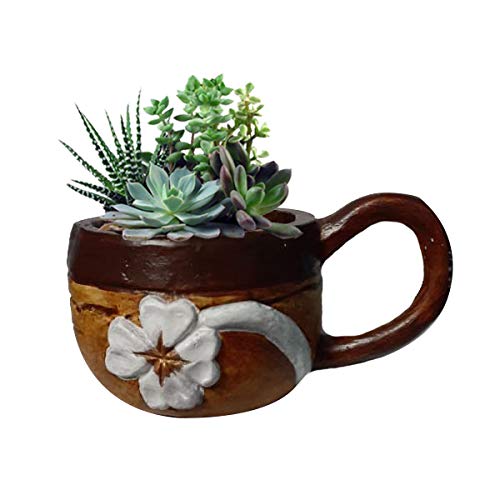 DIY- lock down time- try your hands on cup plants. | कपात कुणी रोप लावतं का ? - हो! हे घ्या, असं लावा !