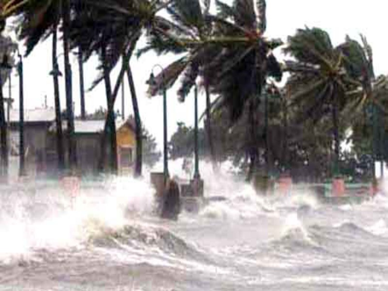 Chance of rain in some districts of the state; Extreme rainfall in Pondicherry due to cyclone Niwar | 'निवार' चक्रीवादळामुळे पाँडेचरीत अतिवृष्टी; राज्यातील काही जिल्ह्यात पावसाची शक्यता