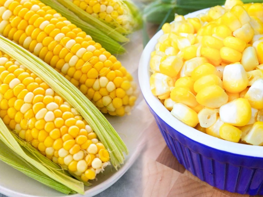 Summer alert: Eat corn in summer; You'll be amazed with unlimited benefits | उन्हाळ्यातही खा मका; फायदे ऐकून व्हाल चकित