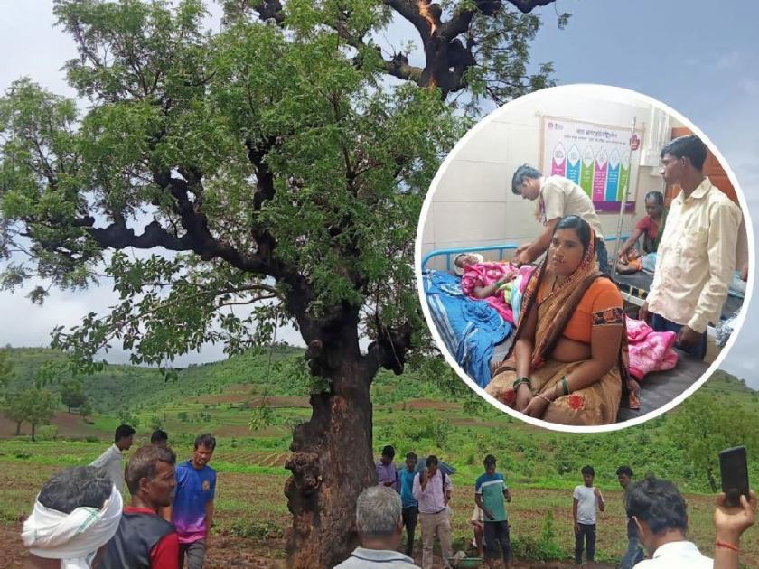 Farmer-labourer standing under tree killed, seven injured due to lightning strike on a tree in Melghat | मेळघाटात वीज कोसळून शेतमालक- मजुराचा मृत्यू, सात जखमी