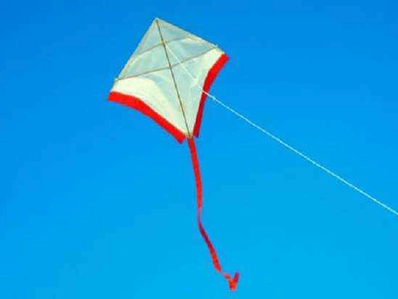 fell off a slab while catching a kite; a thrilling incident in Chandrapur | पतंग पकडताना स्लॅबवरून कोसळला; जिवाला मुकला, चंद्रपुरातील थरारक घटना
