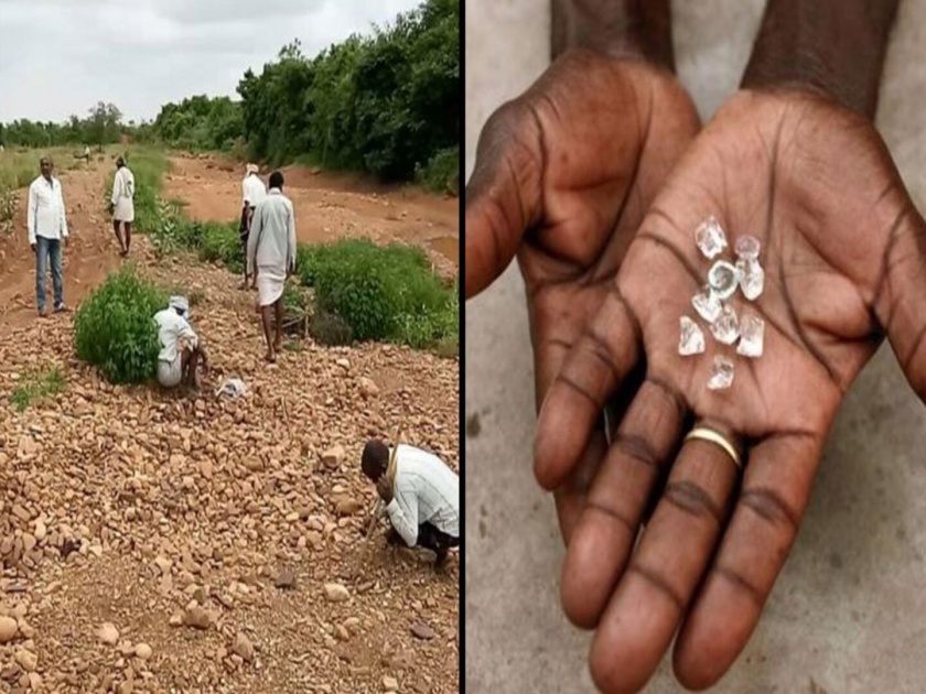 Rayalaseema in Andhra Pradesh is called the land of diamonds and people come here in search of diamonds | भारतातील असं ठिकाण जिथे सामान्य लोक येऊन शोधतात हिरे, जाणून घ्या कुठे...