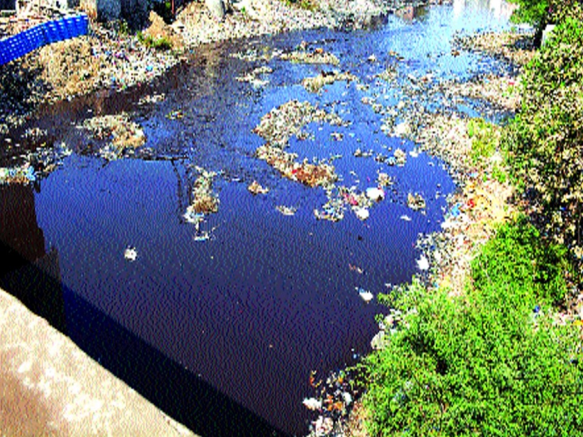 Ulhas River Pollution | उल्हास नदी प्रदूषण : केडीएमसी आणि एमआयडीसीवर ताशेरे