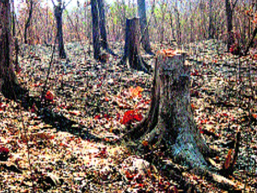 Mulund accident; Fake report given by tree pruning contractor | मुलुंड दुर्घटना; वृक्ष छाटणीचा ठेकेदाराने दिला बोगस अहवाल