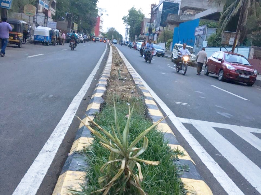 Disclaimed trees for the welcome of Prime Minister Modi | पंतप्रधान मोदींच्या स्वागतासाठी दुभाजकात लावलेली झाडे गायब