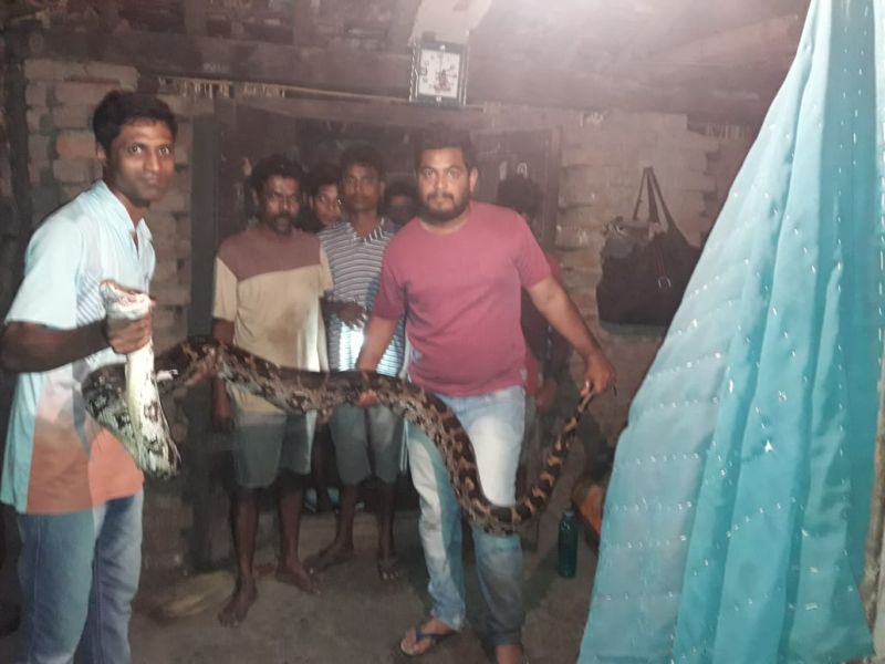 Huge python caught at village in Dahanu | डहाणू : १३ फूट लांब, २२ किलो वजनाचा अजगर घरात शिरला, अन्...