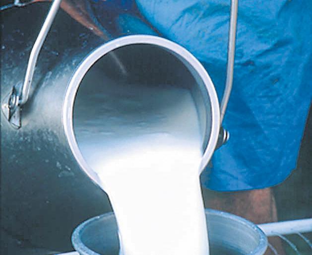 Plastic ban: dairy milk, The suggestion of carrying the vessel | प्लास्टिक बंदीमुळे दूधडेअरीवाले अडचणीत: भांडे घेऊन येण्याची सुचना 