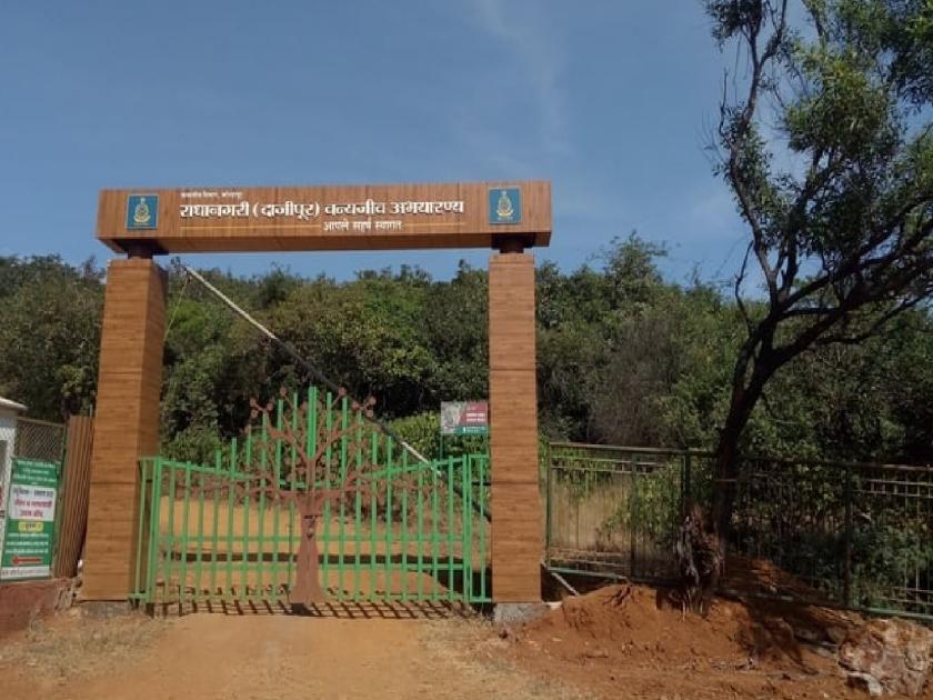 Dajipur sanctuary closed for tourists for five months | Kolhapur: दाजीपूर अभयारण्य पर्यटकांसाठी पाच महिने बंद