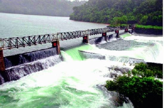  Monsoon, Sahyadri and water only water! Sunday Special Jagar | मान्सून, सह्याद्री आणि पाणीच पाणी ! रविवार विशेष जागर