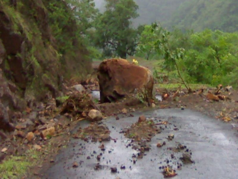 Damage control is done on the Ghat road in Nandurbar | नंदुरबारातील घाटमार्गावर होतेय ‘डॅमेज कंट्रोल’