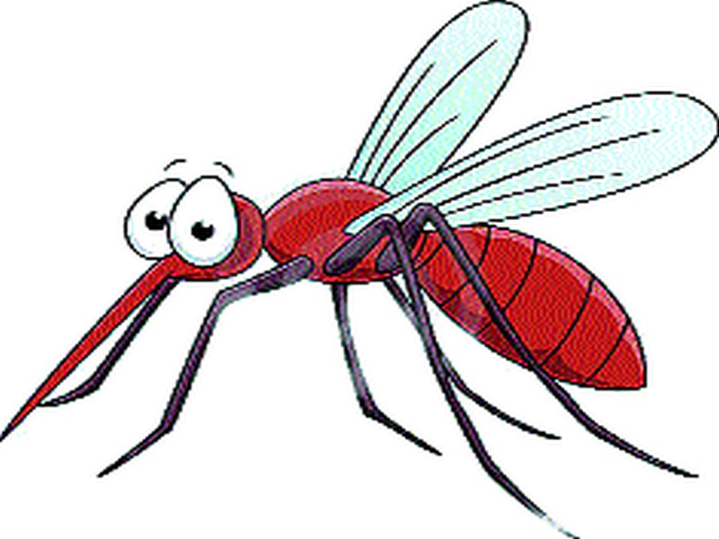 Thousands of mosquitoes are found in the city | शहरात आढळली ५८ हजार डास उत्पत्ती स्थाने