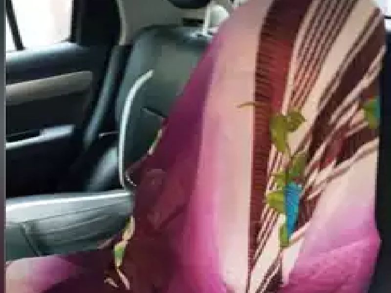Dead wife was put in the car and he ran across Mumbai! | ...म्हणून मृत पत्नीला कारमध्ये बसवून 'तो' मुंबईभर फिरला! 