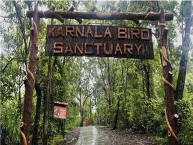Organizing a bird meeting on 9th November at Karnala Sanctuary in Panvel taluka | पनवेल तालुक्यातील कर्नाळा अभयारण्यात ९ नोव्हेंबर रोजी पक्षी संमेलनाचे आयोजन