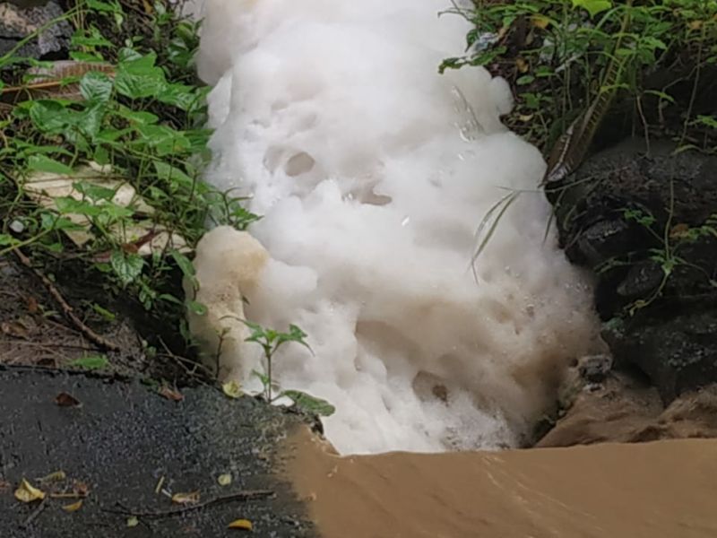 Foam to the water flowing in the nallah at Dombivali; Citizens panicked | डोंबिवलीतील नाल्यामध्ये वाहणाऱ्या पाण्याला फेस; नागरिक धास्तावले