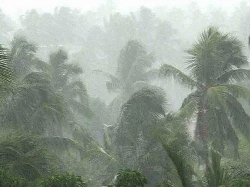 West Vidarbha receives 111.2 per cent rainfall; 109.1 in Amravati distric | पश्चिम विदर्भात १११.२ टक्के पाऊस; अमरावती जिल्ह्यात १०९.१
