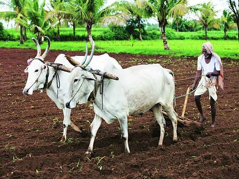 Budget 2020: 2.83 lakh crore for agriculture, rural development and irrigation schemes | Budget 2020: कृषी, ग्रामविकास, जलसिंचन योजनांसाठी २.८३ लाख कोटी