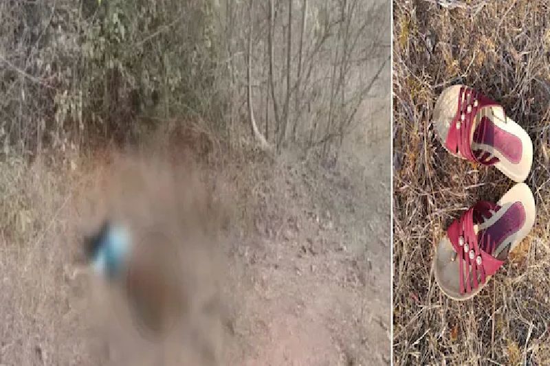 The half-naked burnt body of a young woman found in jungle near amgaon of gondia district | अर्धनग्न अन् चेहरा जळालेल्या अवस्थेत आढळला तरुणीचा मृतदेह; गोंदियात खळबळ