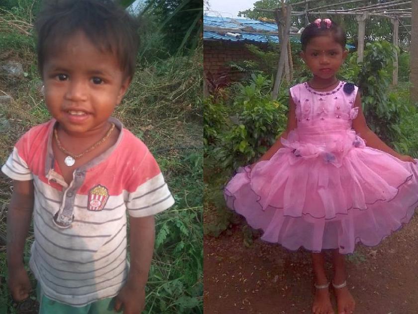 two little children died by drowning in farm lake | शेततळ्यात बुडून चिमुकल्या बहीण-भावाचा मृत्यू; समुद्रपूर तालुक्यातील दुर्दैवी घटना