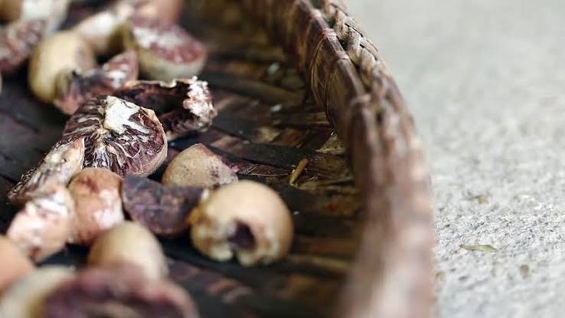 CBI probes decomposed betel nut imports in Nagpur | नागपुरातील सडकी सुपारी आयातीचा तपास सीबीआयकडे?