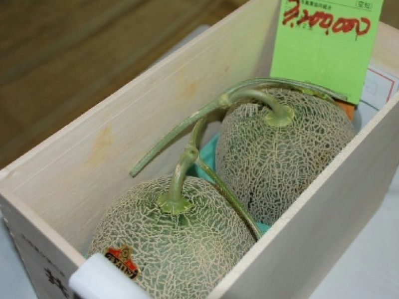 Two Japanese Premium Melons Auctioned For A Record INR 19 Lakh | एका लिलावात या दोन खरबूजांना मिळालेली किंमत वाचून व्हाल थक्क!